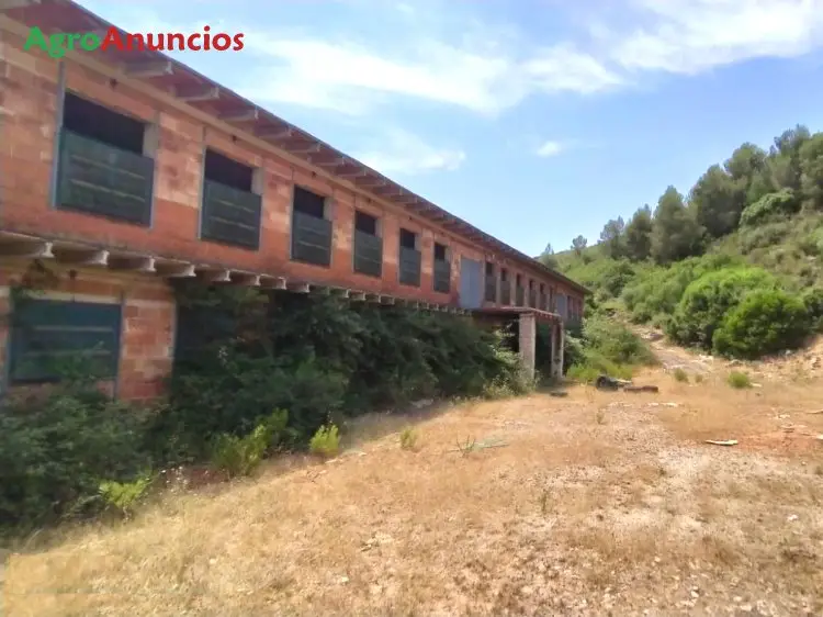 Venta  de Terreno con nave destinada a granja avícola en Valencia