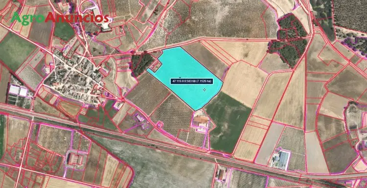 Venta de Viñedo 7 ha Valladolid