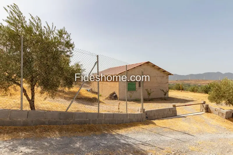 Cortijo con Finca de Olivos en Nigüelas Granada