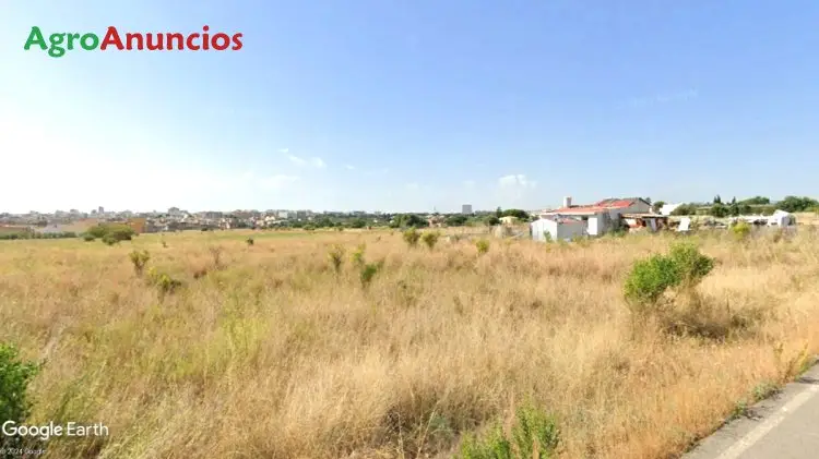 Venta  de Finca con vivienda junto casco urbano en Castellón