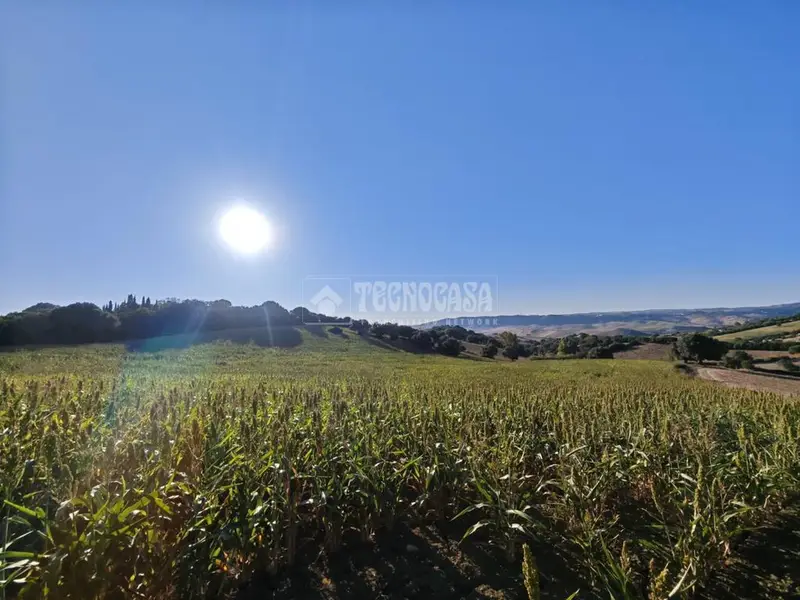 Terrenos en venta en Vejer De La Frontera