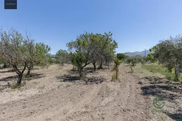 Finca Rustica Granada 3000m2 Arboles Frutales