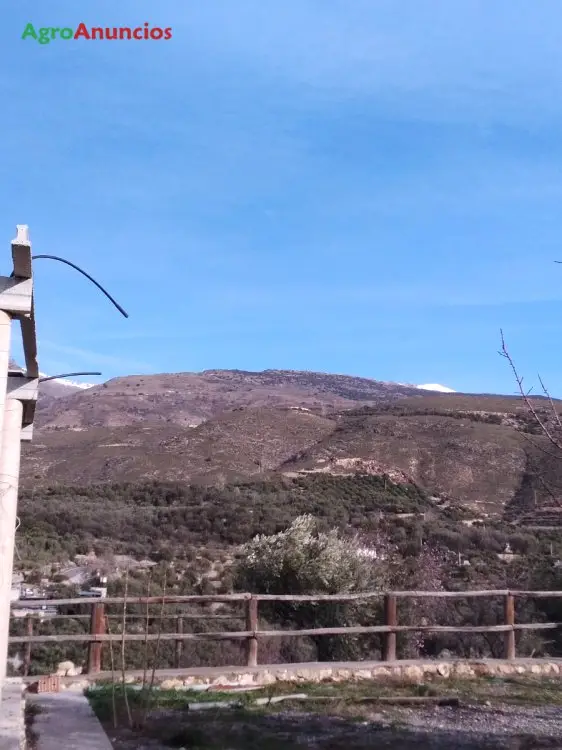 Venta  de Finca de frutales y olivos en Granada