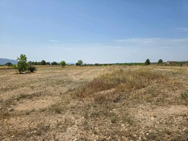 Parcela en Venta Pinoso Alicante 16294m2 Ideal para Construir