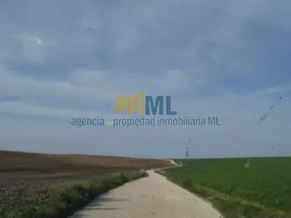 Venta Finca 400 Hectareas Cadiz Subvencion 330ha Ref S1580