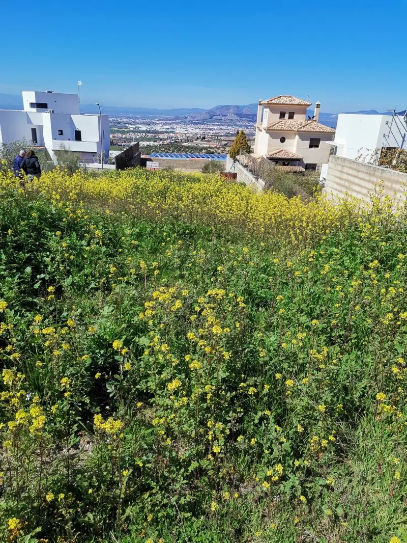 Venta Terreno en Jun Granada Oportunidad Unica 350m2