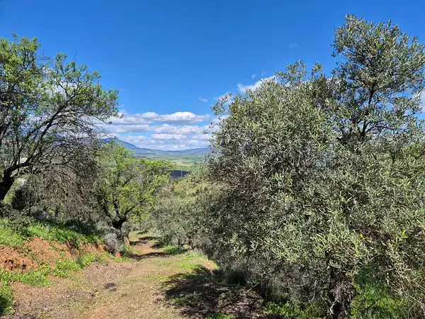 Casa de Campo en Guaro con Piscina y Vistas Impresionantes