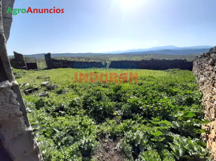 Venta  de Finca ganadera con gran corral y nave en Cáceres