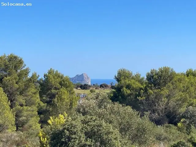Finca Rustica en Venta Benissa Alicante 33000m2