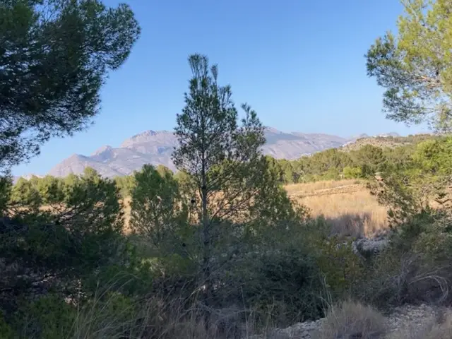 Terreno en Venta Polop Alicante