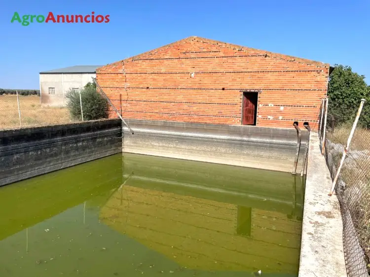 Finca de Regadío 30 ha Toledo - Nave 1200m2 - Derechos PAC