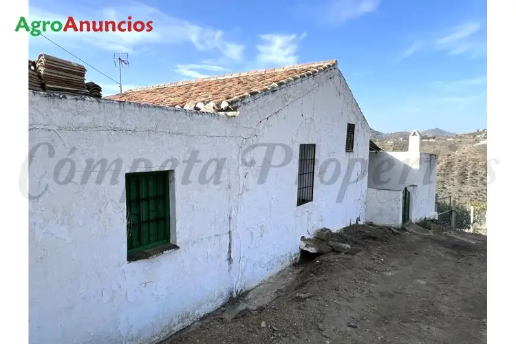 Venta  de Finca de aguacates y mangos en Málaga