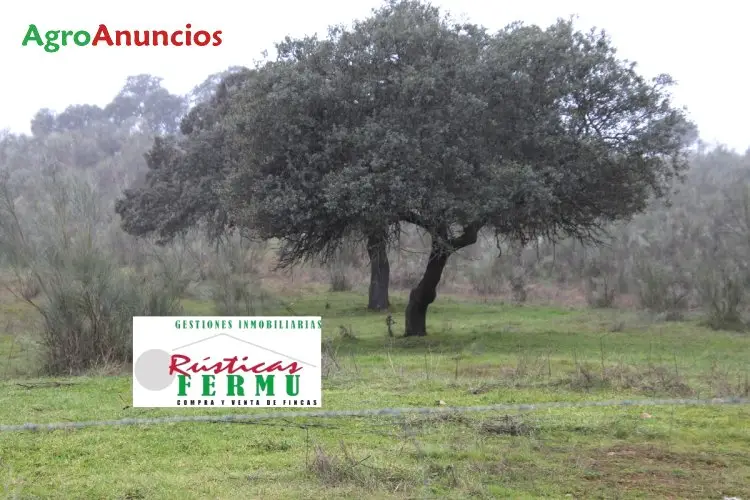 Venta  de Finca ganadera y recreo en Córdoba