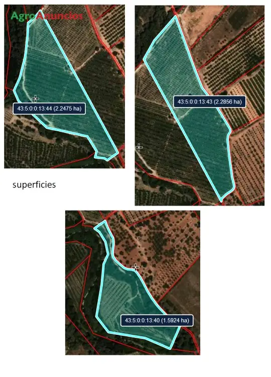 Venta  de Finca de avellanos en Tarragona