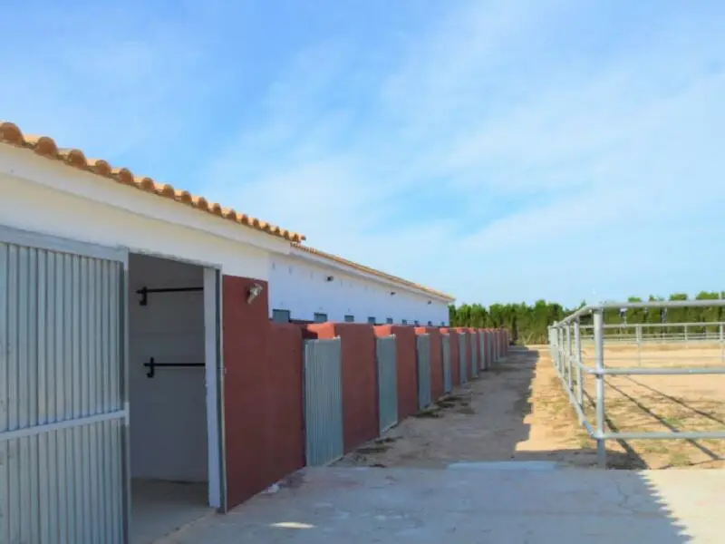 Finca Rustica con 12 Establos cerca de San Miguel de Salinas