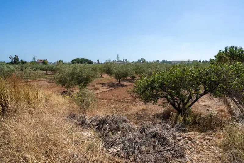Finca Rustica en Venta Amposta Tarragona