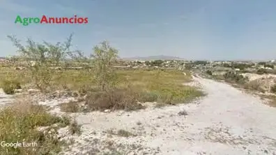 Venta  de Finca rústica para explotación agraria en Murcia