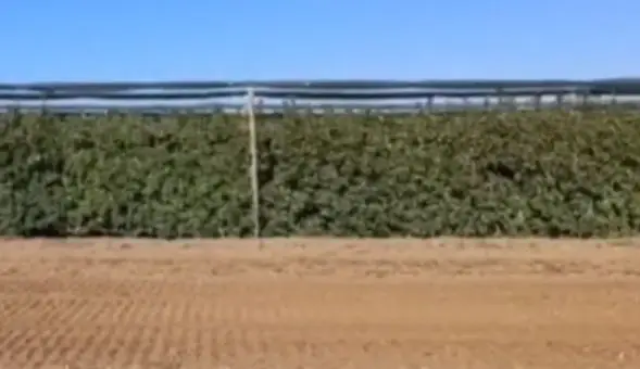 Venta Finca Castelldans Manzanas Regadío