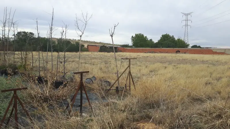Venta Finca Rustica Meco 8500m2
