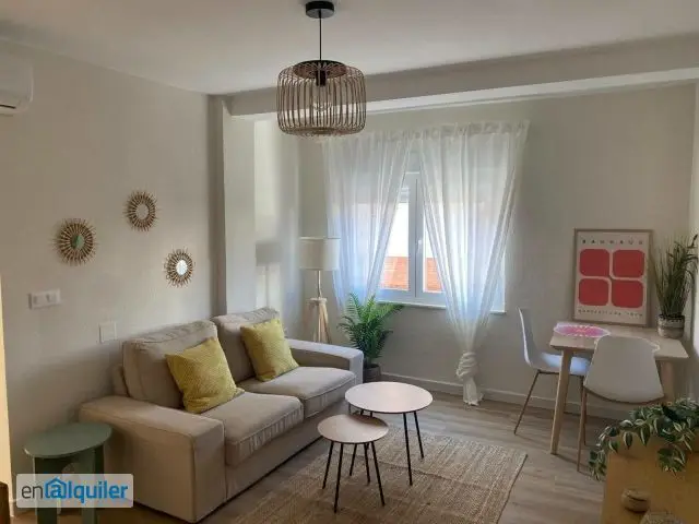 Alquiler Piso Amueblado 3 Dormitorios Terraza Casco Urbano
