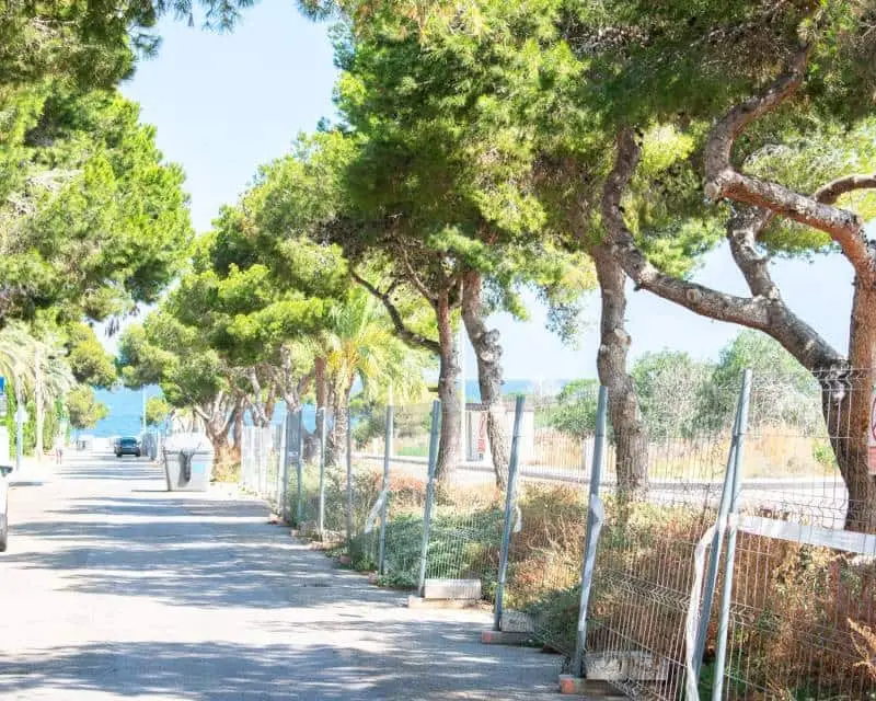 Villa pareada en Punta Prima Orihuela Costa Alicante