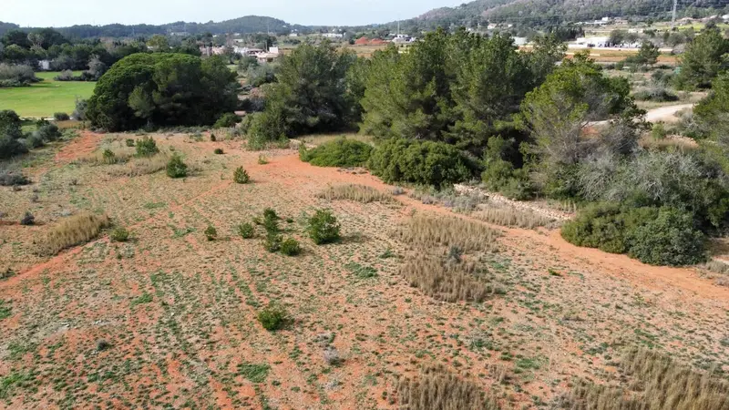 Terreno/Finca Rústica en venta en Santa Gertrudis de Fruitera, Santa Eulalia / Santa Eularia, Ibiza