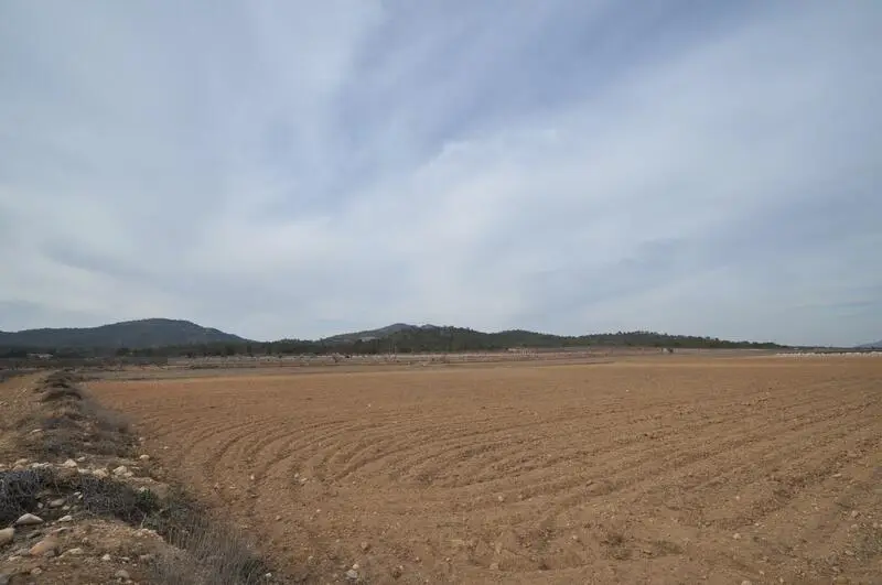 Parcela en Venta cerca de Monóvar