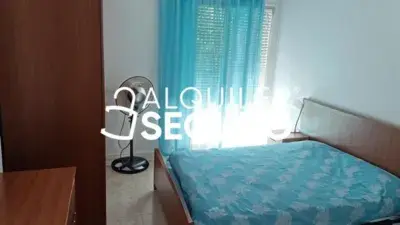Piso en Alquiler Torreperogil 120m2 3 Dormitorios Piscina Parking