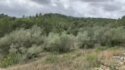 Finca rústica en venta en El Perelló