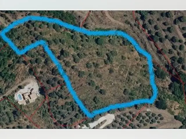 Terreno en Venta Competa - Gran Oportunidad Cultivo