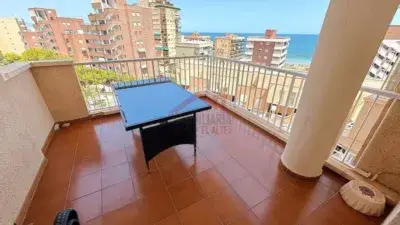 Alquiler Piso Amueblado Arenales del Sol Septiembre a Junio