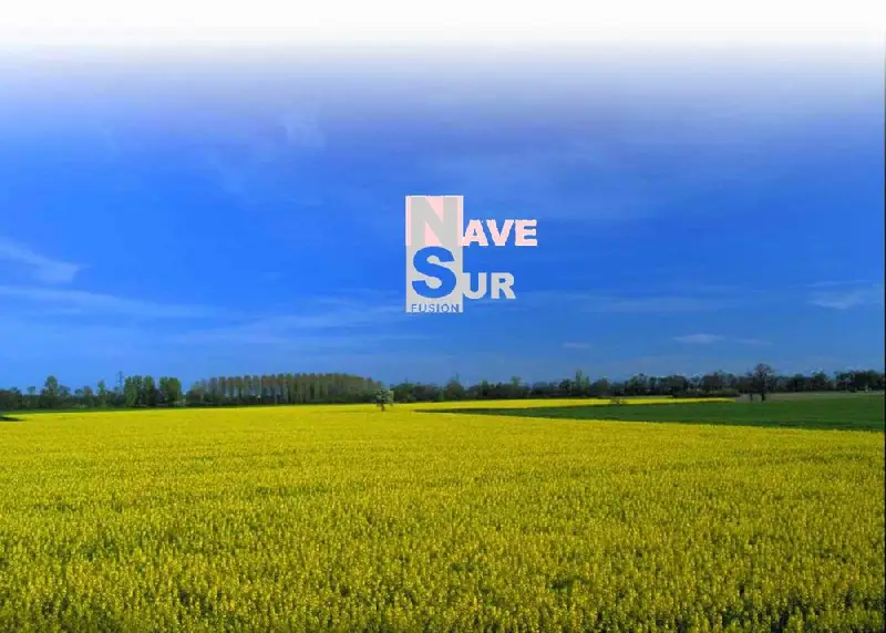 Venta Terreno Industrial Huelva 51000m2