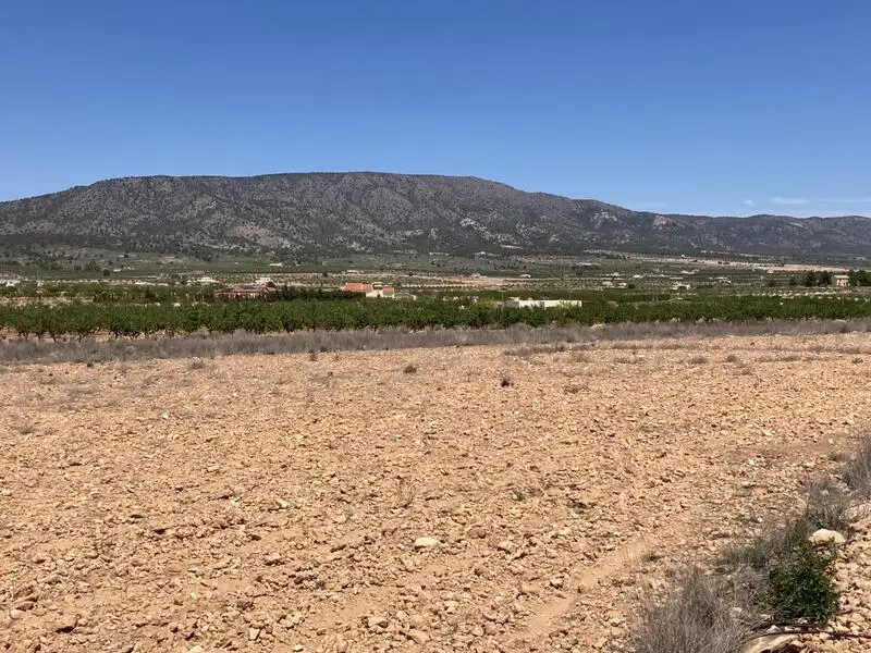 Solar Plano en Lel cerca de Pinoso