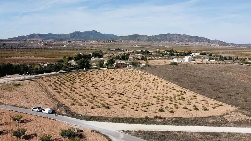 Parcela Edificable 10000m2 Pinoso - Casa Nueva