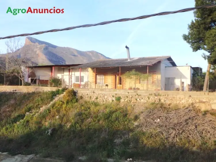 Venta  de Finca regadío con caseta, recreo en Alicante