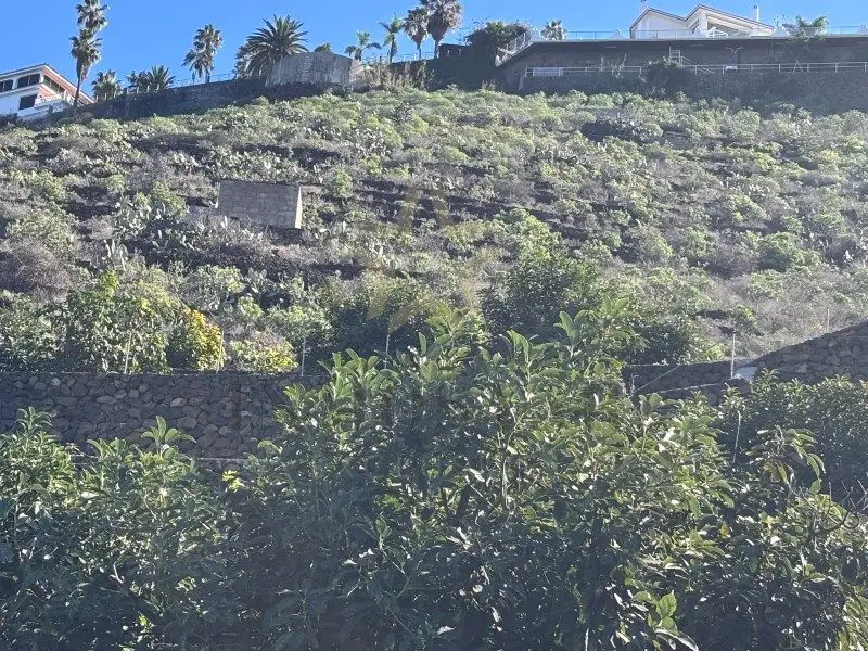 Venta Suelo con Vistas El Rincon Valle Orotava