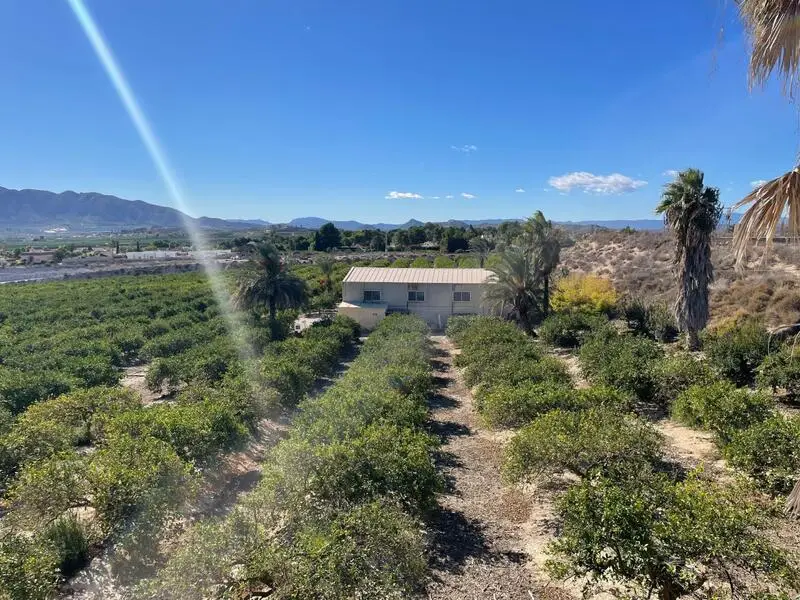 Finca de Limoneros en Murcia con Chalet y Casa de Huéspedes