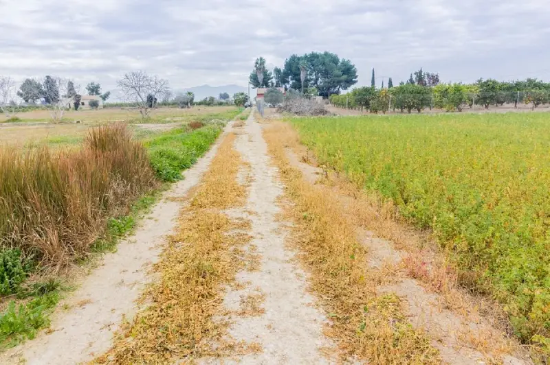 Venta Terreno Rustico Callosa Segura 20150m2