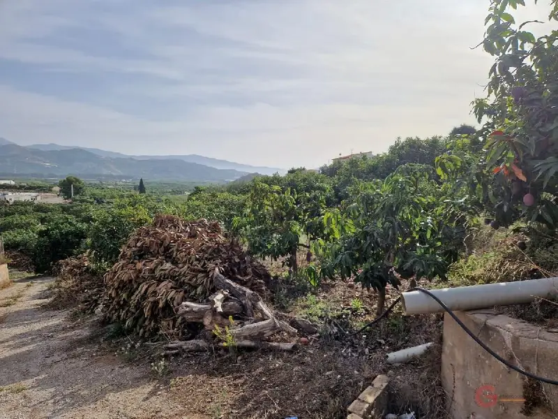 Venta Terreno con Arboles Frutales en Salobreña