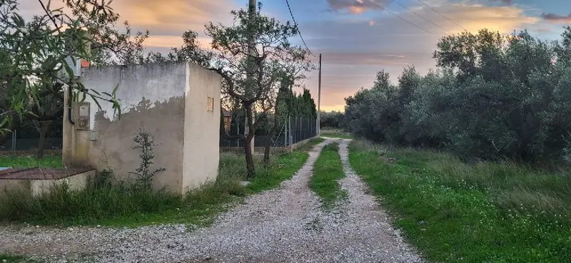 Venta Finca Rustica Roquetes 2 Casas 26571m2