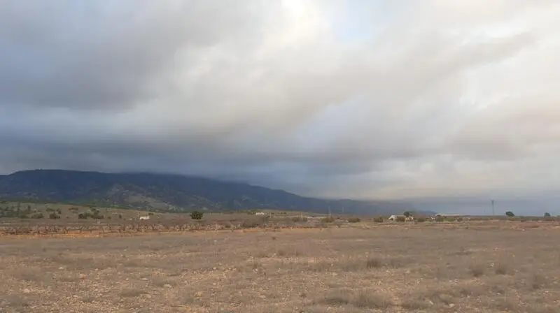 Terreno en Venta en Pinoso Alicante