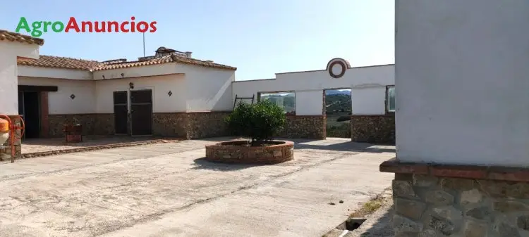 Venta  de Finca con caserón y monte en Cádiz