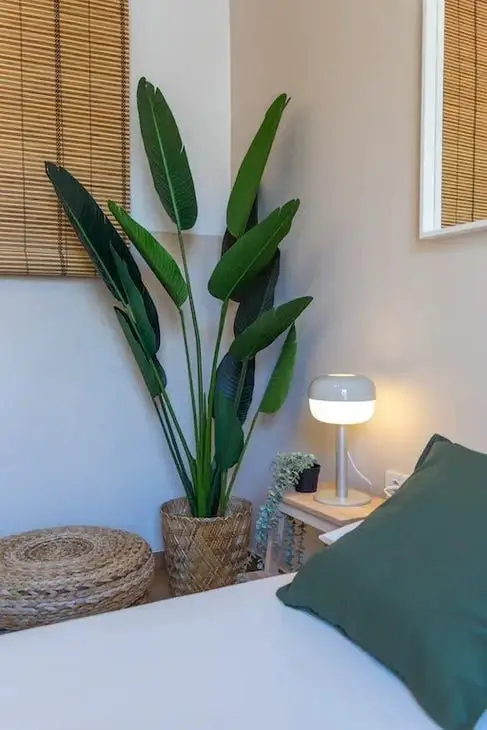 Apartamento 1 Dormitorio Barcelona