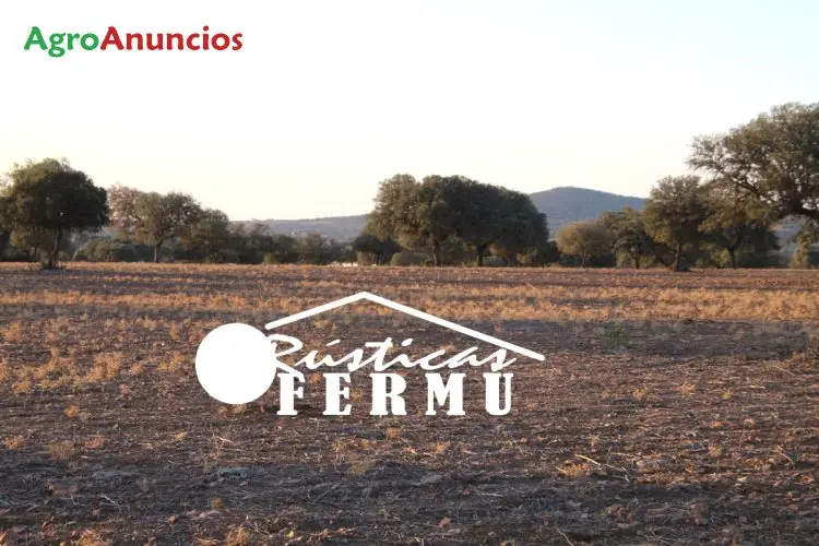 Venta  de Finca de siembra y monte en Albacete