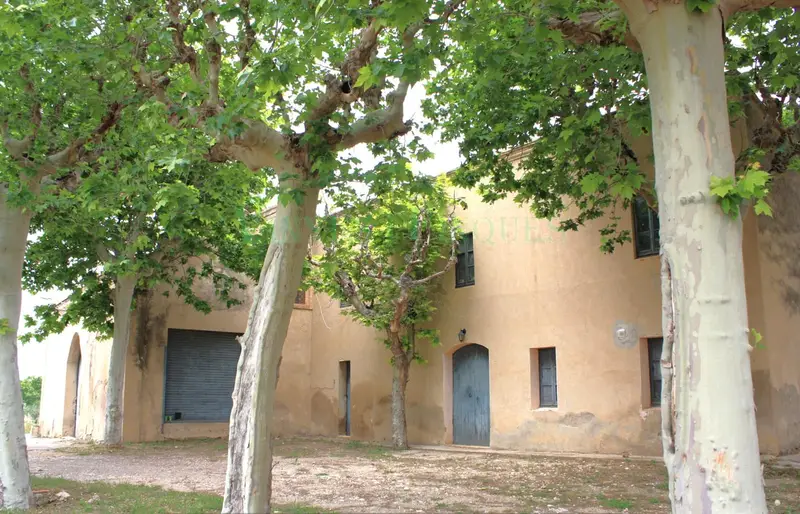 Masia Medieval Siglo XII Venta 46Hectareas Viñedos