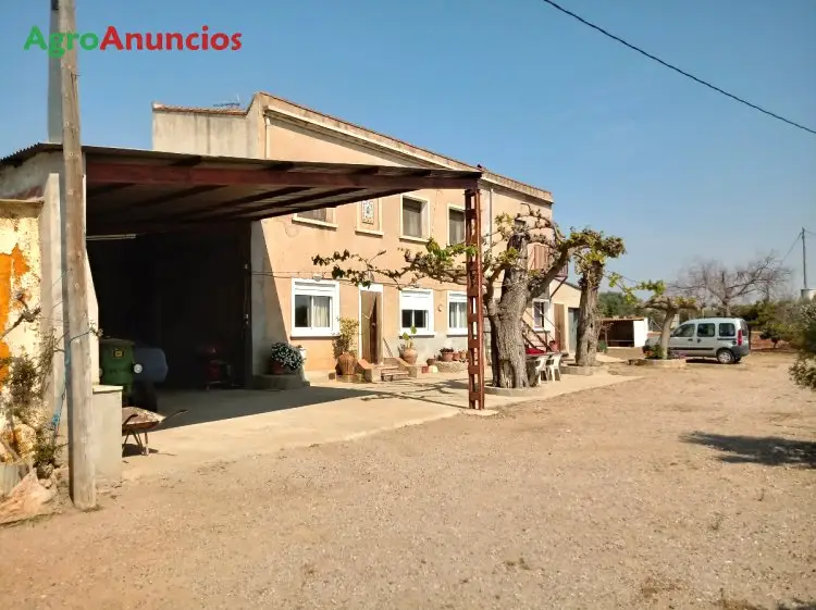 Venta  de Finca de olivos con riego por goteo en Tarragona