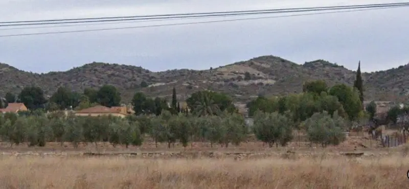 Venta Parcela en Alcana Aspe 7000m2