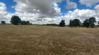 Finca Rustica en Espirdo Ideal para Caballos