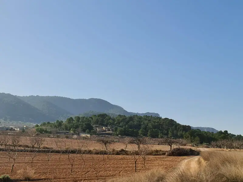 Parcela Edificable 14877m2 Jumilla Vistas Hermosas