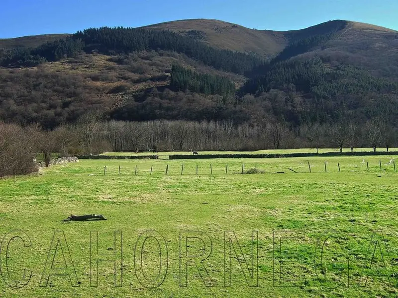 venta Terreno en Teran (Valle Cabuerniga), Cantabria (5309/2049)- Globaliza